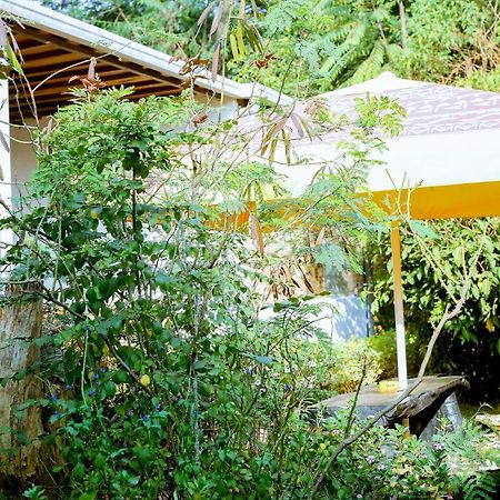 Inzozi Africa House B&B-Kimihurura Кигали Экстерьер фото